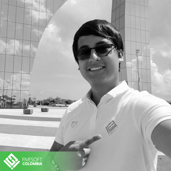 FiveSoft Tecnología e Innovación en Software Empresarial - Support Team